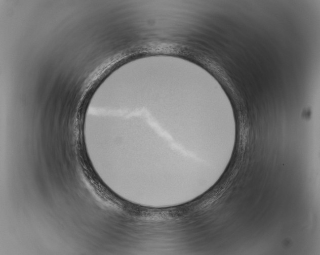 X0000115010674200912071205