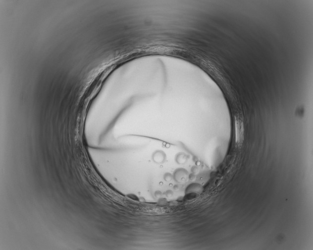 X0000115010675200912071205