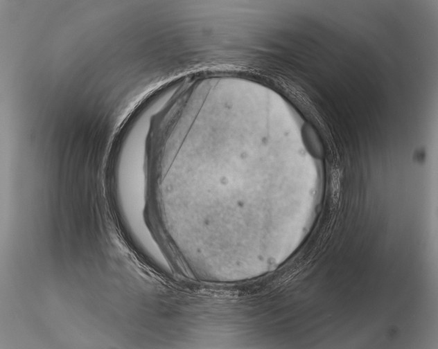 X0000115010676200912071205