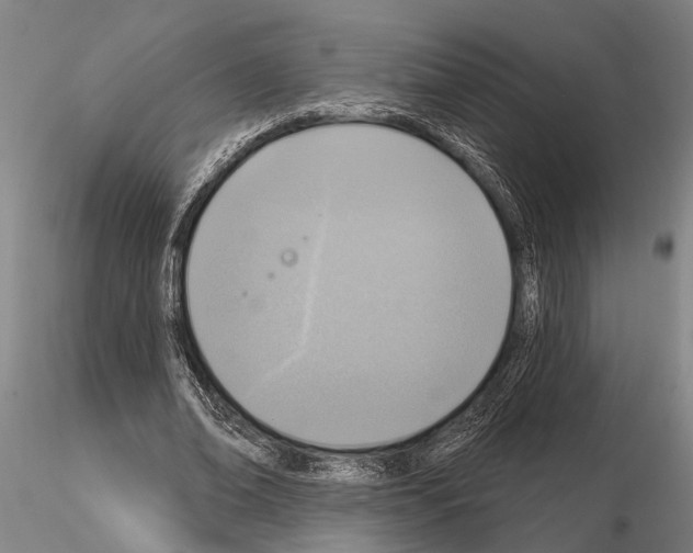X0000115010678200912071205
