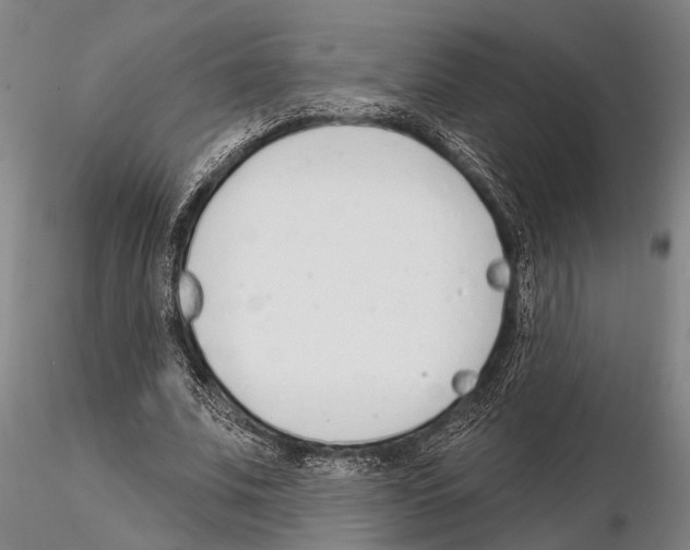 X0000115010679200912071204