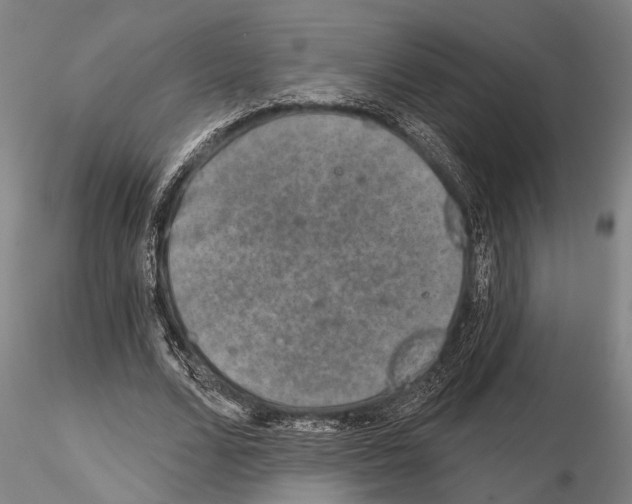 X0000115010680200912071204