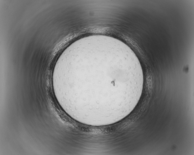 X0000115010682200912071204