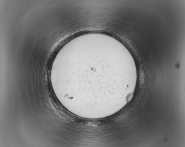 X0000115010684200912071204