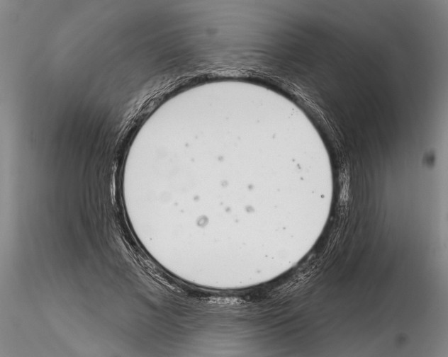 X0000115010685200912071204