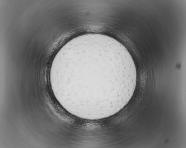 X0000115010686200912071204