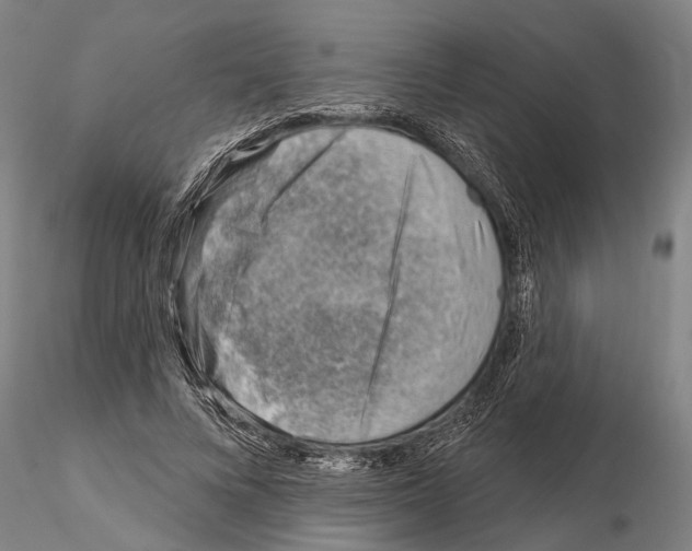 X0000115010688200912071204
