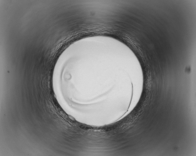 X0000115010689200912071204