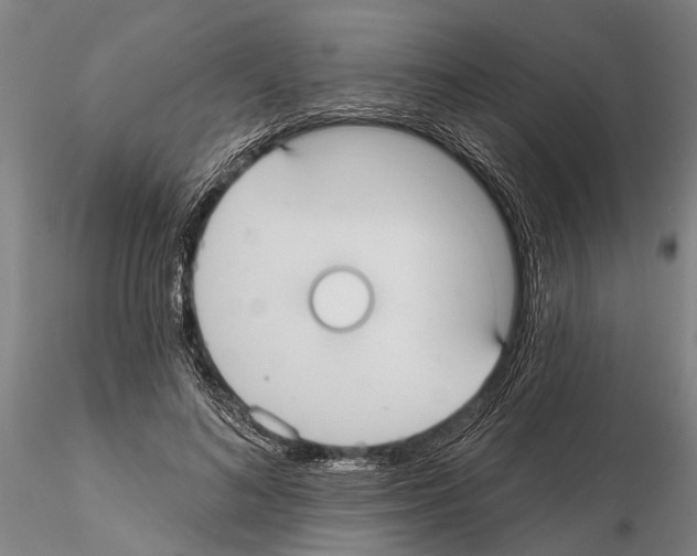 X0000115010692200912071204