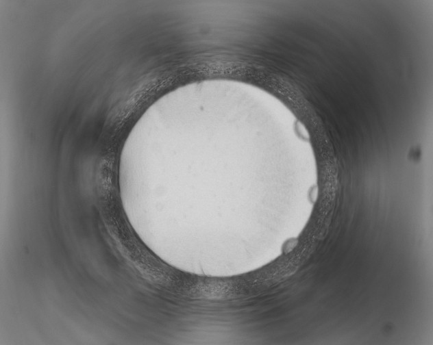 X0000115010695200912071204