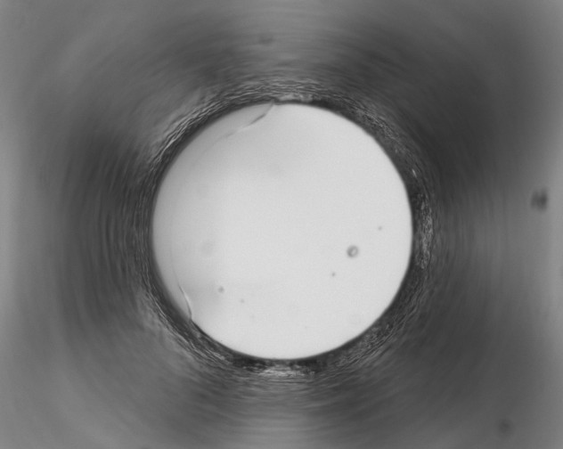 X0000115010696200912071204