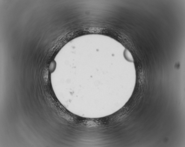 X0000115010697200912071204