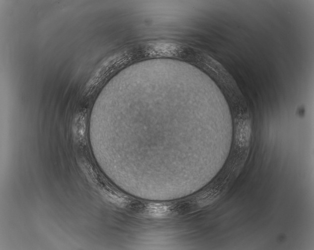 X0000115010701200912071204