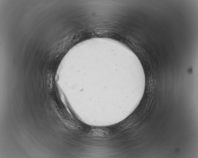 X0000115010703200912071204