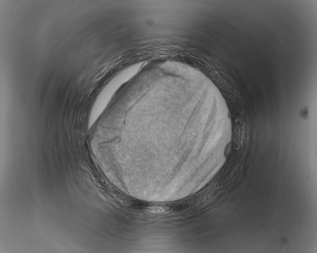 X0000115010704200912071204