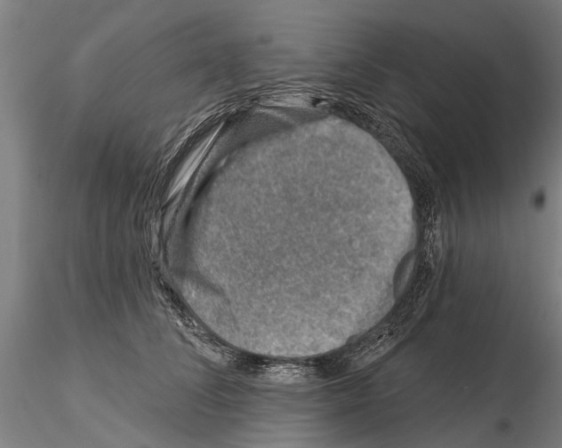 X0000115010708200912071204