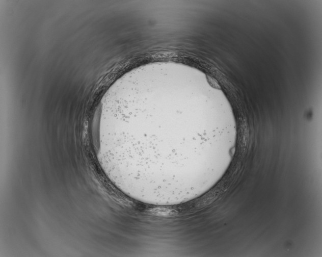 X0000115010711200912071204