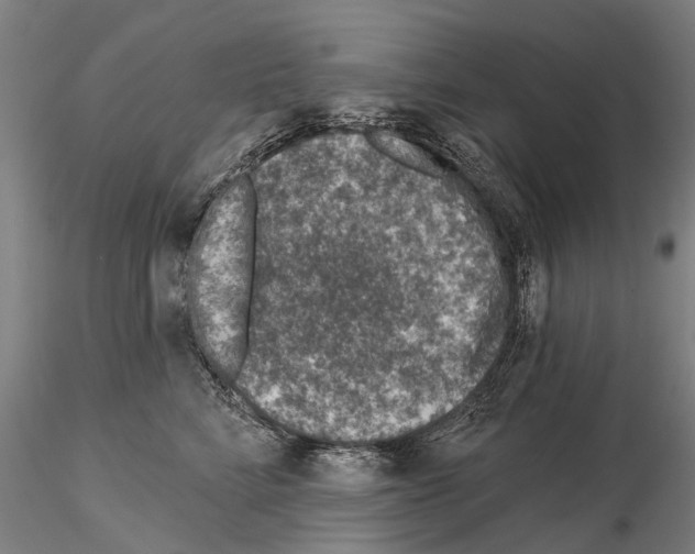 X0000115010712200912071204
