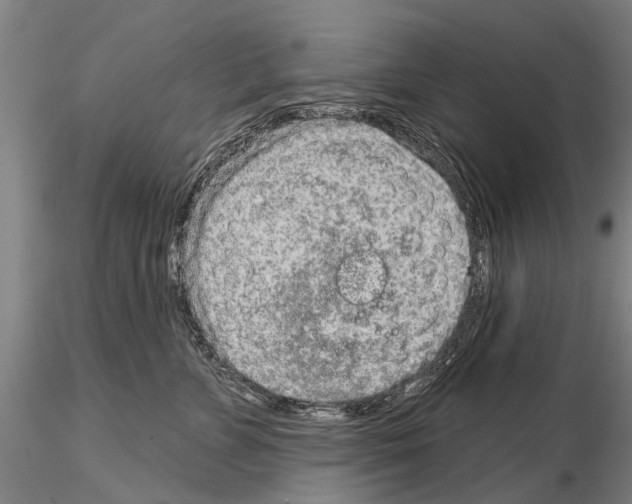 X0000115010715200912071204
