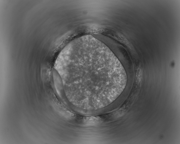 X0000115010716200912071204