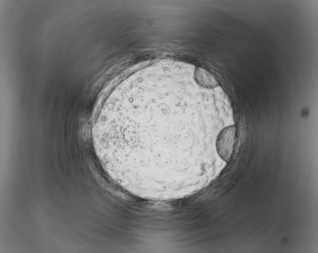 X0000115010719200912071204