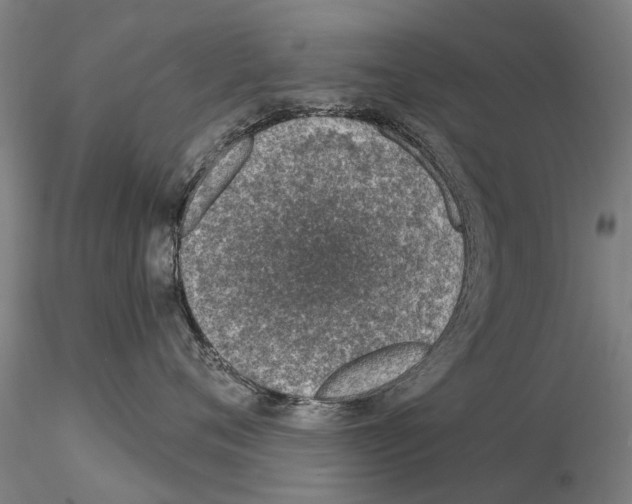 X0000115010720200912071204