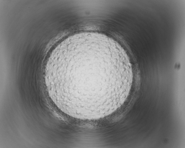 X0000115010721200912071203