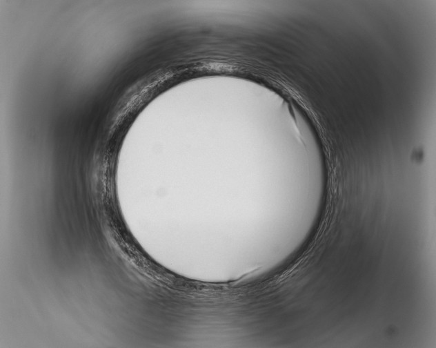 X0000115010722200912071203