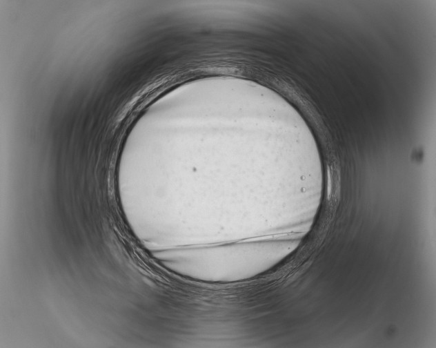 X0000115010723200912071203