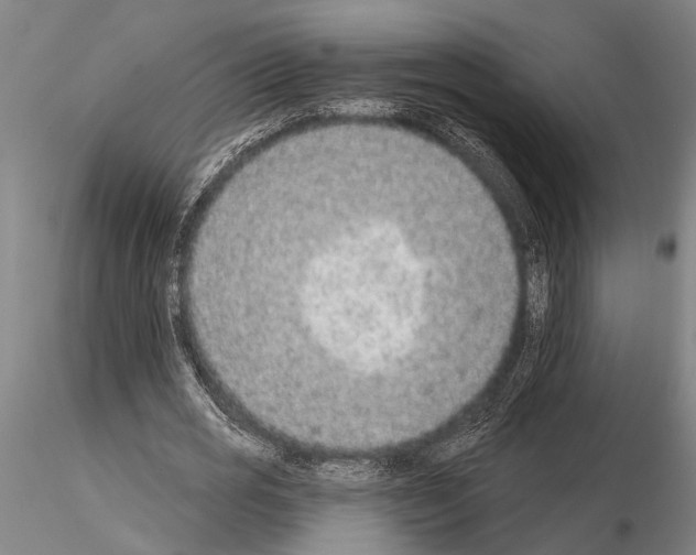 X0000115010725200912071203