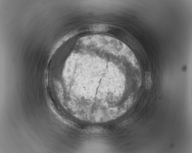 X0000115010726200912071203