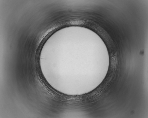 X0000115010727200912071203