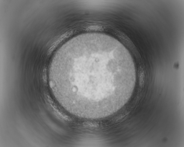 X0000115010729200912071203