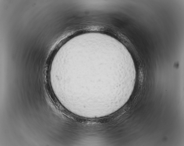 X0000115010730200912071203