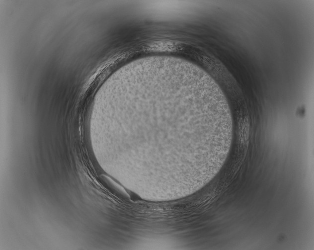 X0000115010731200912071203