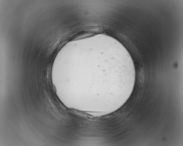 X0000115010739200912071203