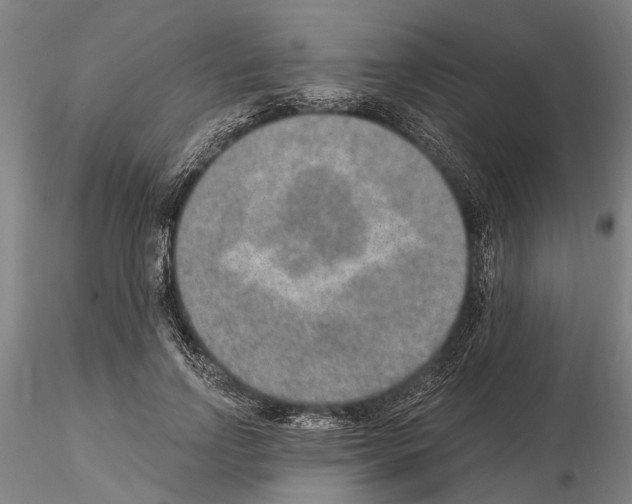 X0000115010742200912071203