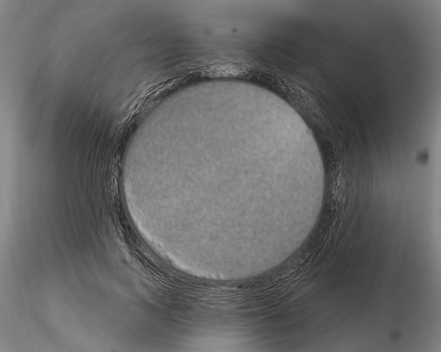 X0000115010743200912071203
