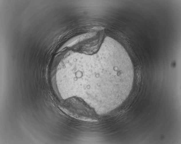 X0000115010745200912071203