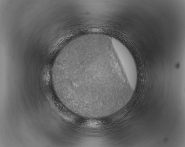 X0000115010746200912071204
