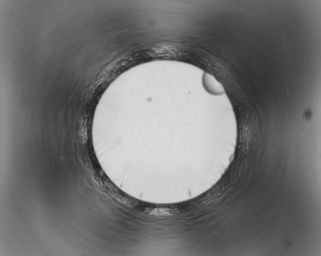 X0000115010751200912071204