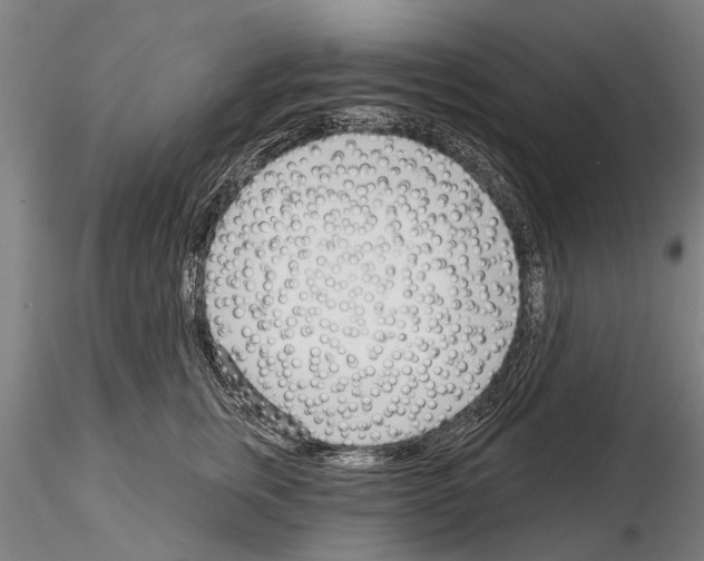 X0000115010759200912071204