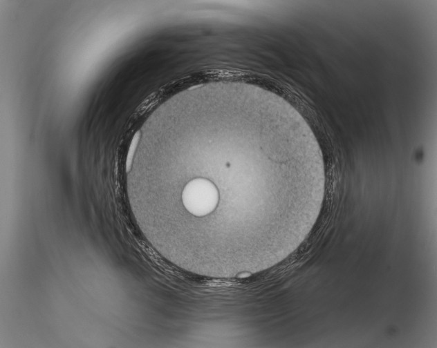 X0000115010762200912071204