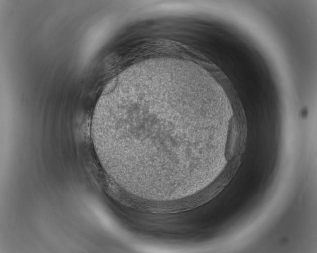 X0000115010766200912071204