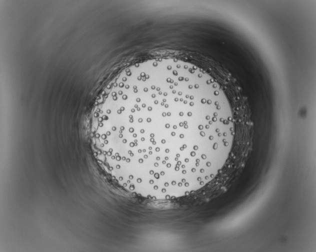X0000115010767200912071204