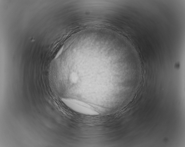 X0000115010772200912071203