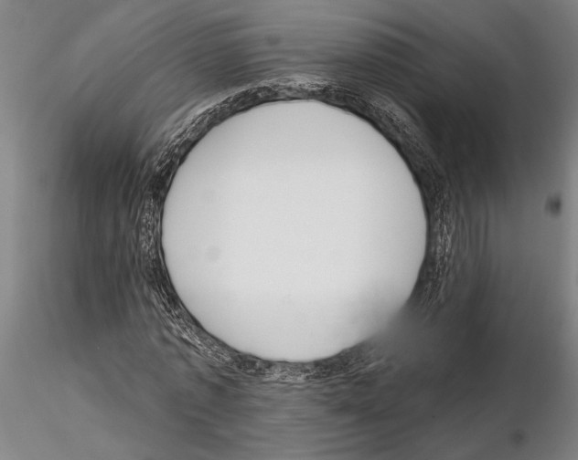 X0000115010773200912071203