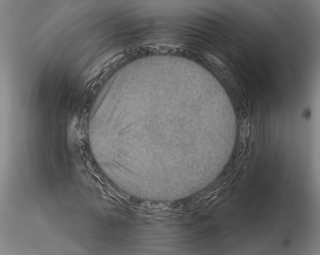 X0000115010774200912071203