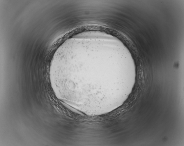 X0000115010775200912071203