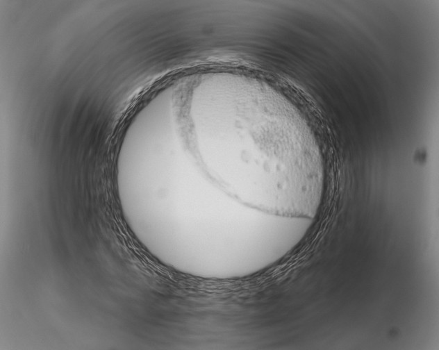 X0000115010776200912071203